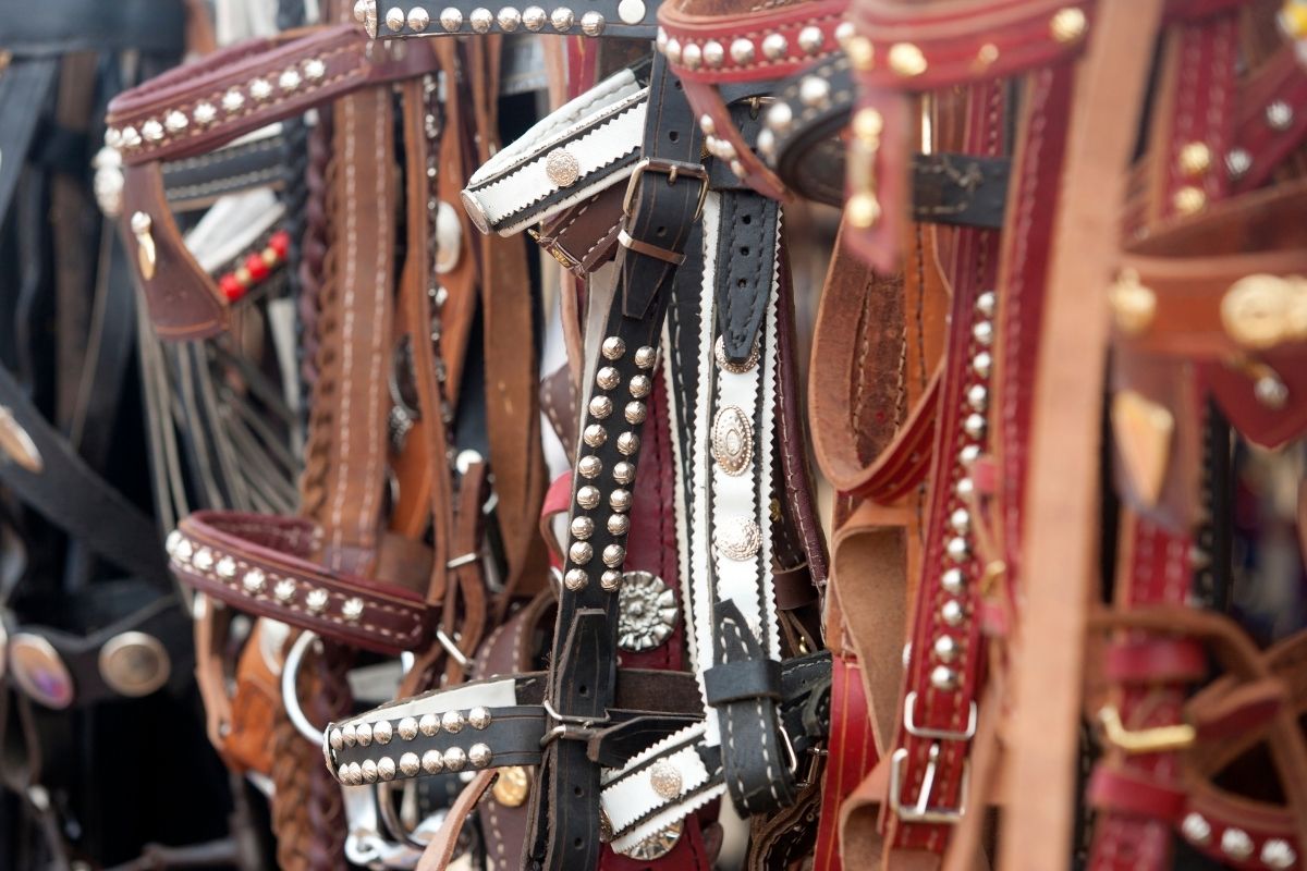cowboy-accessories-sacramento-boot-town-western-wear